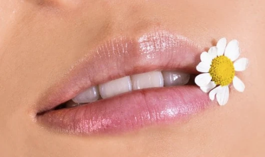 Bisabolol For Lips Bisabolol For Lips